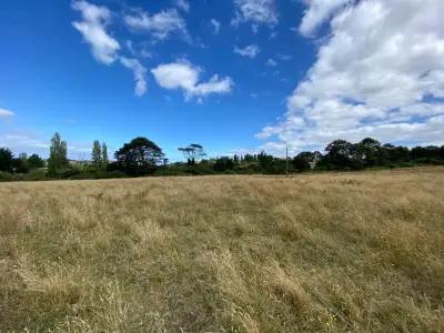 Parcelas 5000 m² en Huenuco - miniatura 2