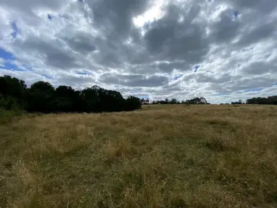 Parcelas 5000 m² en Huenuco - miniatura 3