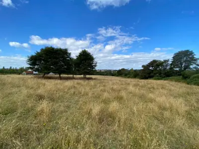 Parcelas 5000 m² en Huenuco - miniatura 4
