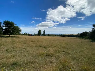 Parcelas 5000 m² en Huenuco - miniatura 5