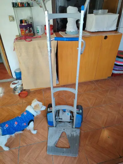 Carro de carga resistente - miniatura 1