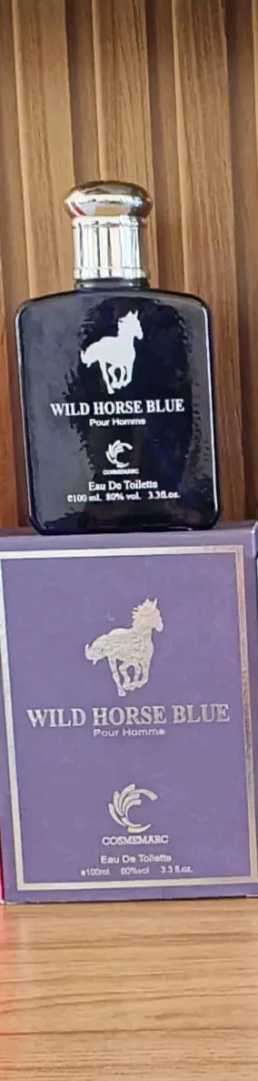 Perfume imitación polo Blue 100ml