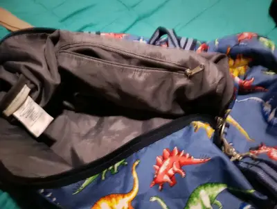 Bolso de lona con dinosaurios - miniatura 3