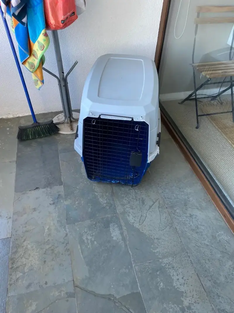 Transportadora de mascotas - 2