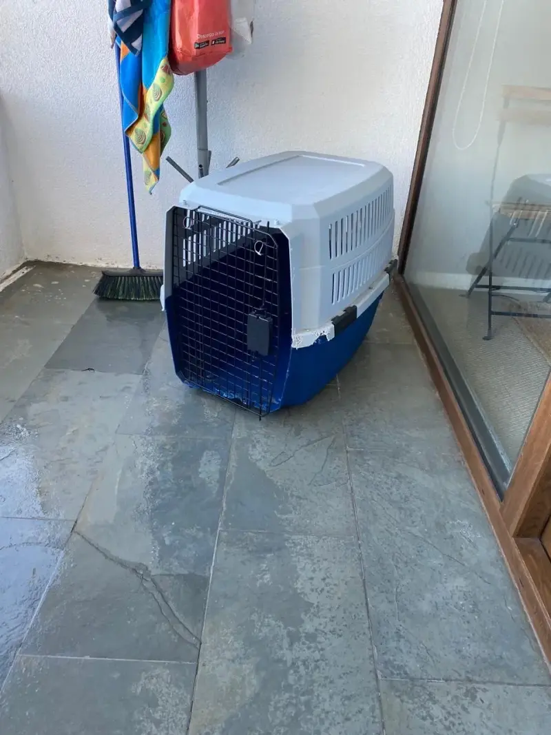 Transportadora de mascotas - 3