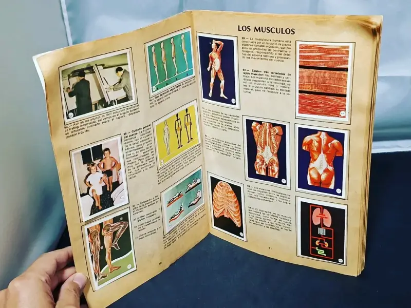 Álbum El Cuerpo Humano completo - 3