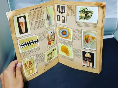 Álbum El Cuerpo Humano completo - miniatura 4
