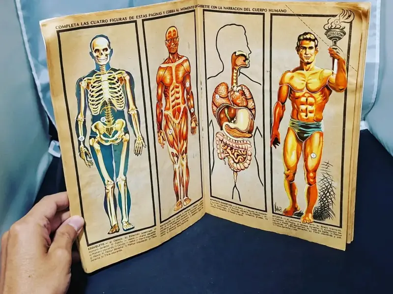 Álbum El Cuerpo Humano completo - 6