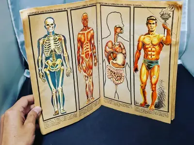 Álbum El Cuerpo Humano completo - miniatura 6