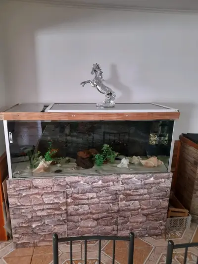 Acuario grande con decoración - miniatura 1