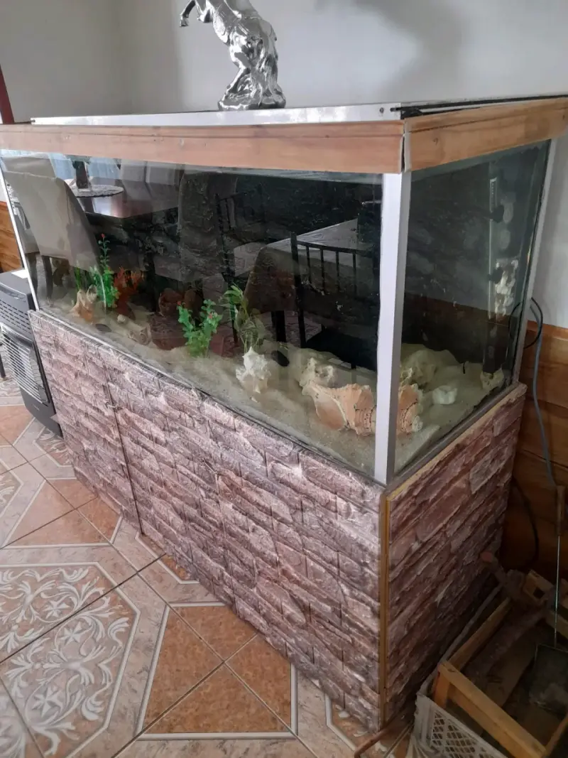 Acuario grande con decoración - 2