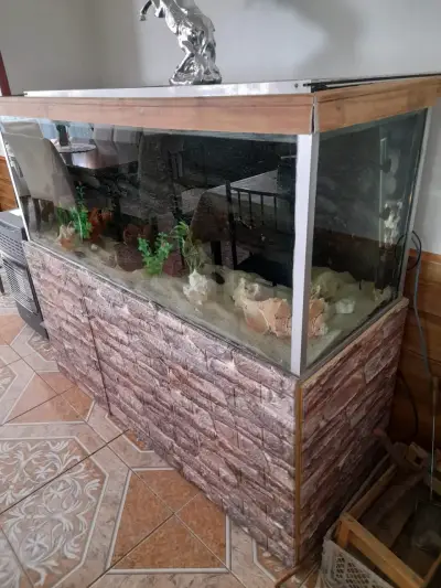 Acuario grande con decoración - miniatura 2