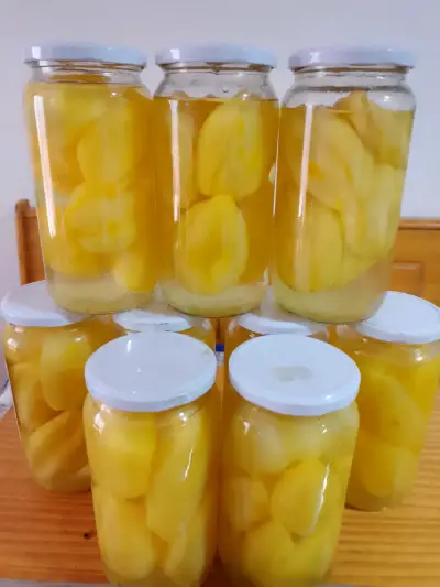 Papayas en conserva - miniatura 1