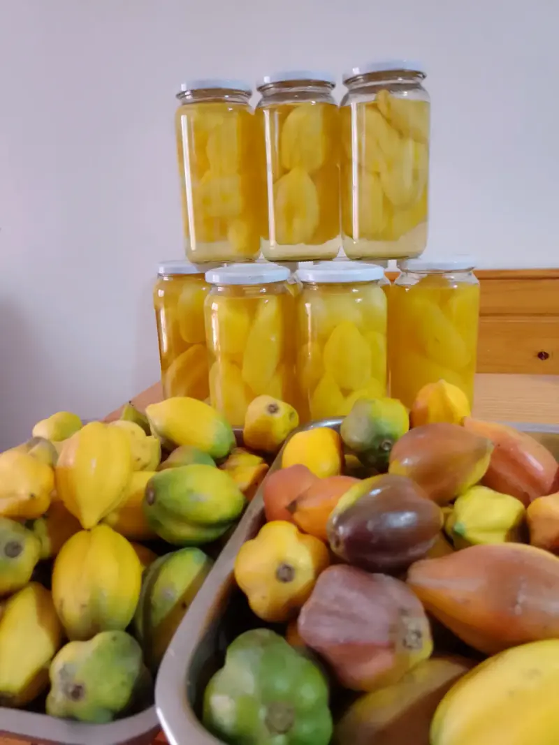 Papayas en conserva - 2