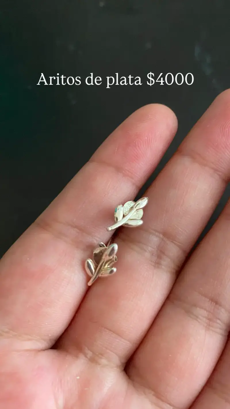 Aros de plata en forma de hoja