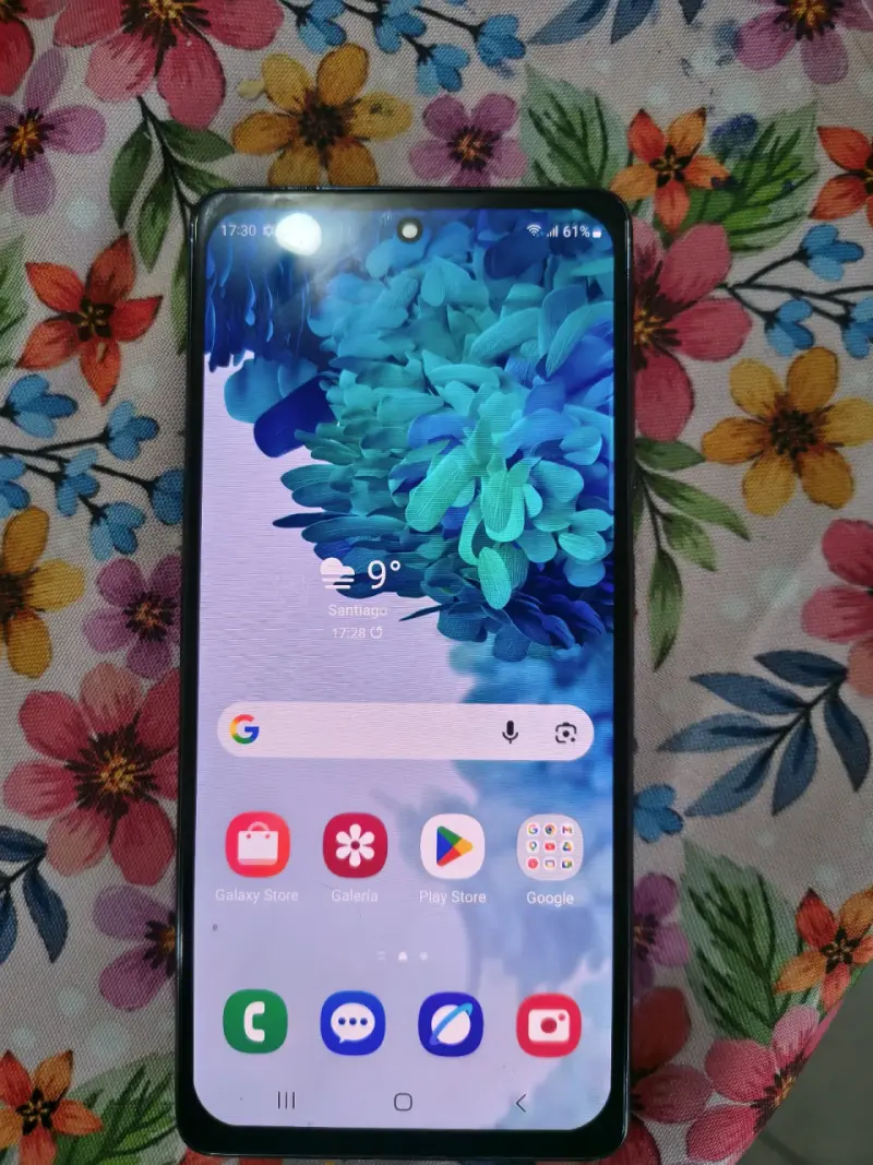 Samsung Galaxy con carcasa - 2
