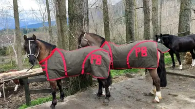 Manta para caballo gris y roja - miniatura 1