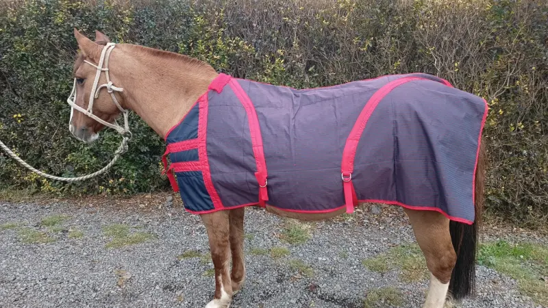 Manta para caballo gris y roja - 2