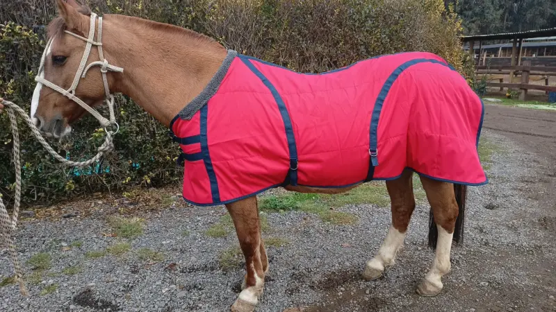 Manta para caballo gris y roja - 3