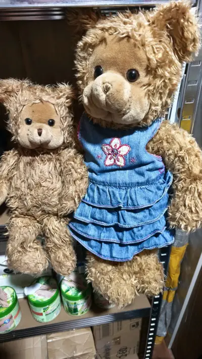 Ositos de peluche y muñecas - miniatura 1
