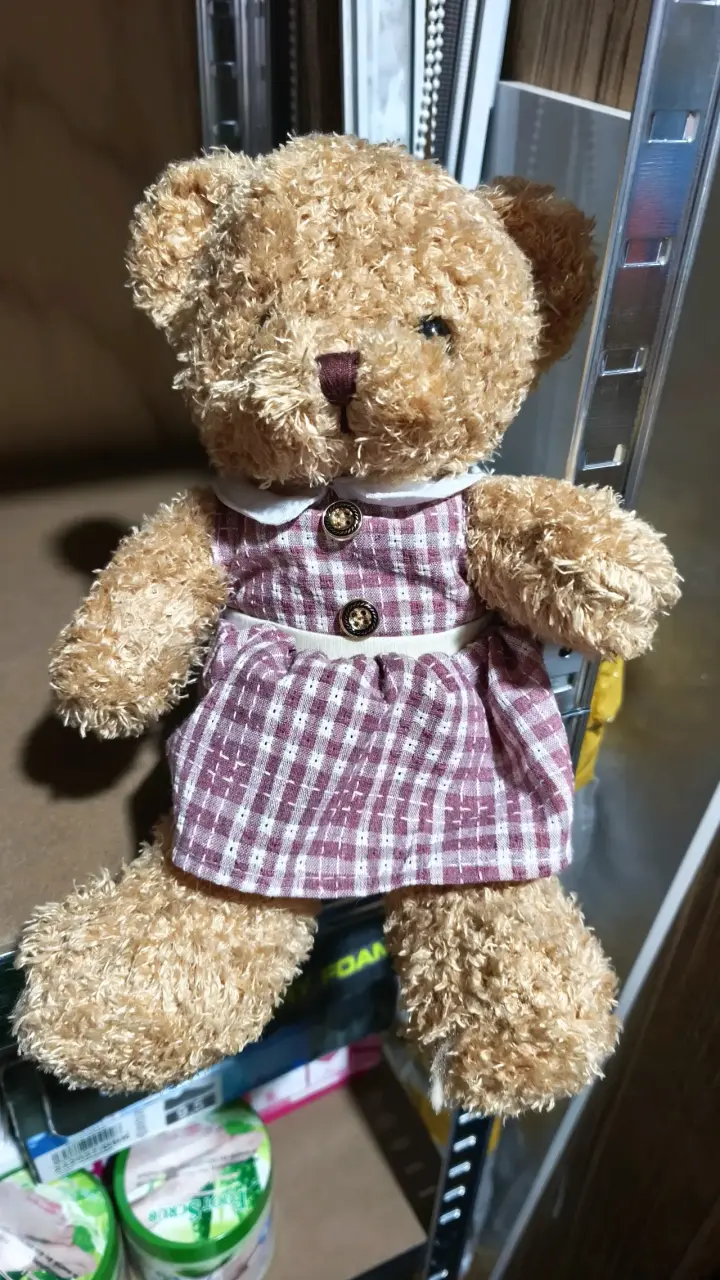 Ositos de peluche y muñecas - 2