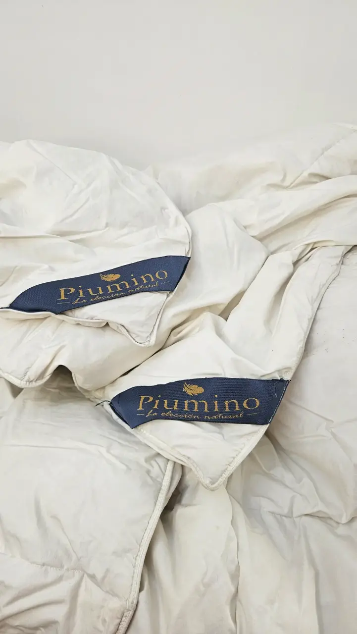 2 Plumones Piunino de plumas - 1