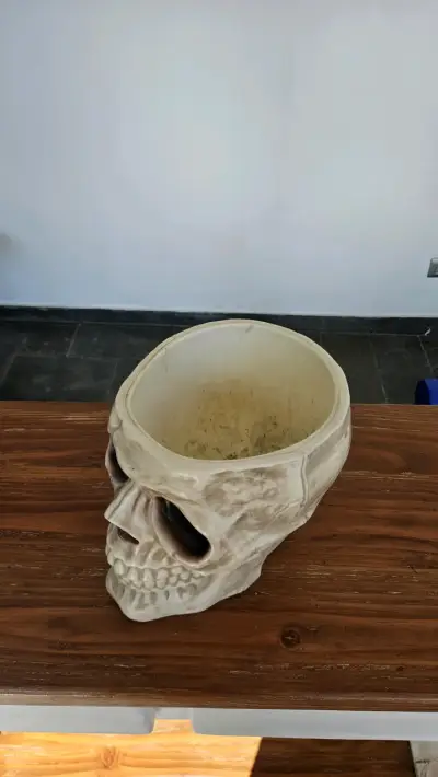 Macetero Calavera Grande Decorativo | Estilo Gótic - miniatura 2