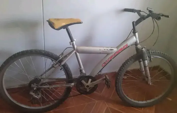 Bicicleta Oxford, Aro 24, color gris, usada