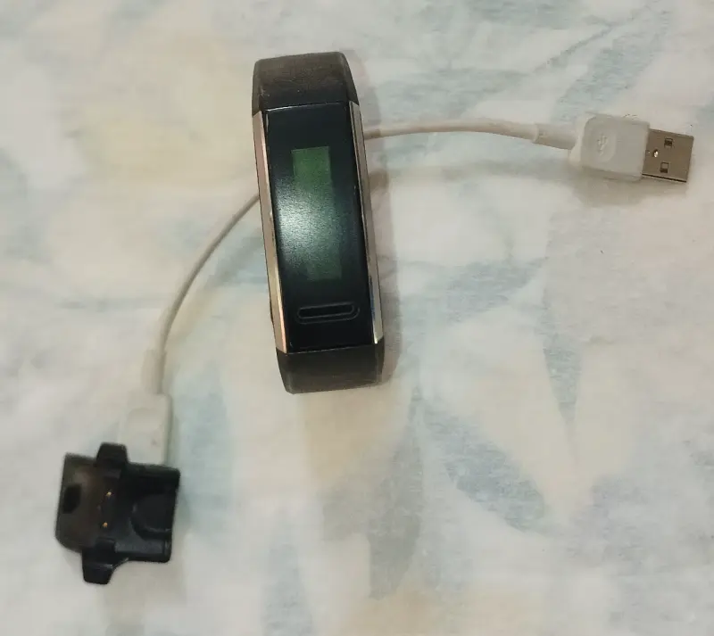 Smartband / Pulsera Inteligente Huawei Band 2 Pro - 1