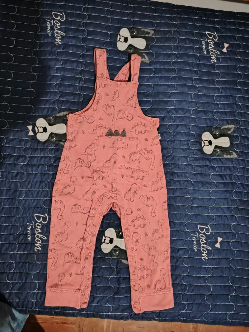 Jardinera infantil con estampado de dinosaurios