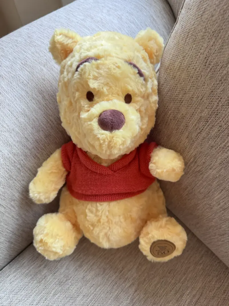Peluche Winnie the Pooh - 1