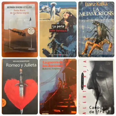 Lote de 6 libros variados - miniatura 2