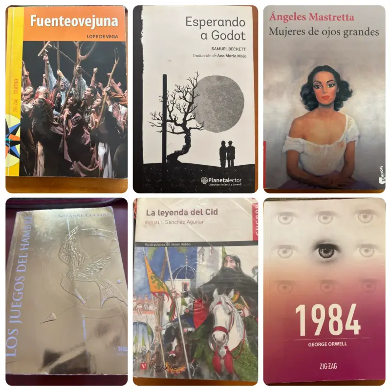 Lote de 6 libros variados - 3