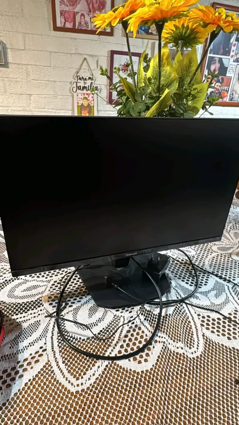 Monitor gamer