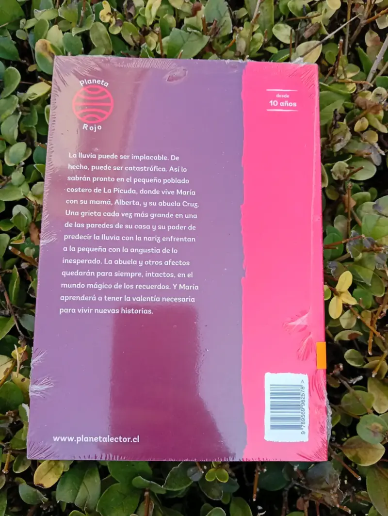 Libro 'María Diluvio' nuevo - 2