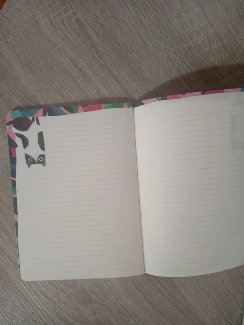 Cuadernos diseño de gatos - 5