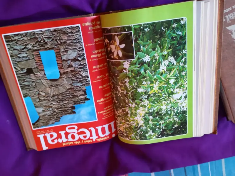 Libro de botánica integral - 1