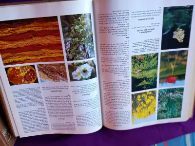 Libro de botánica integral - miniatura 2
