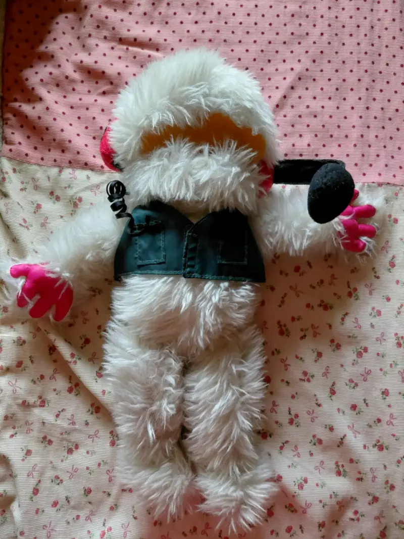 Peluche Juanin 31 minutos - 1