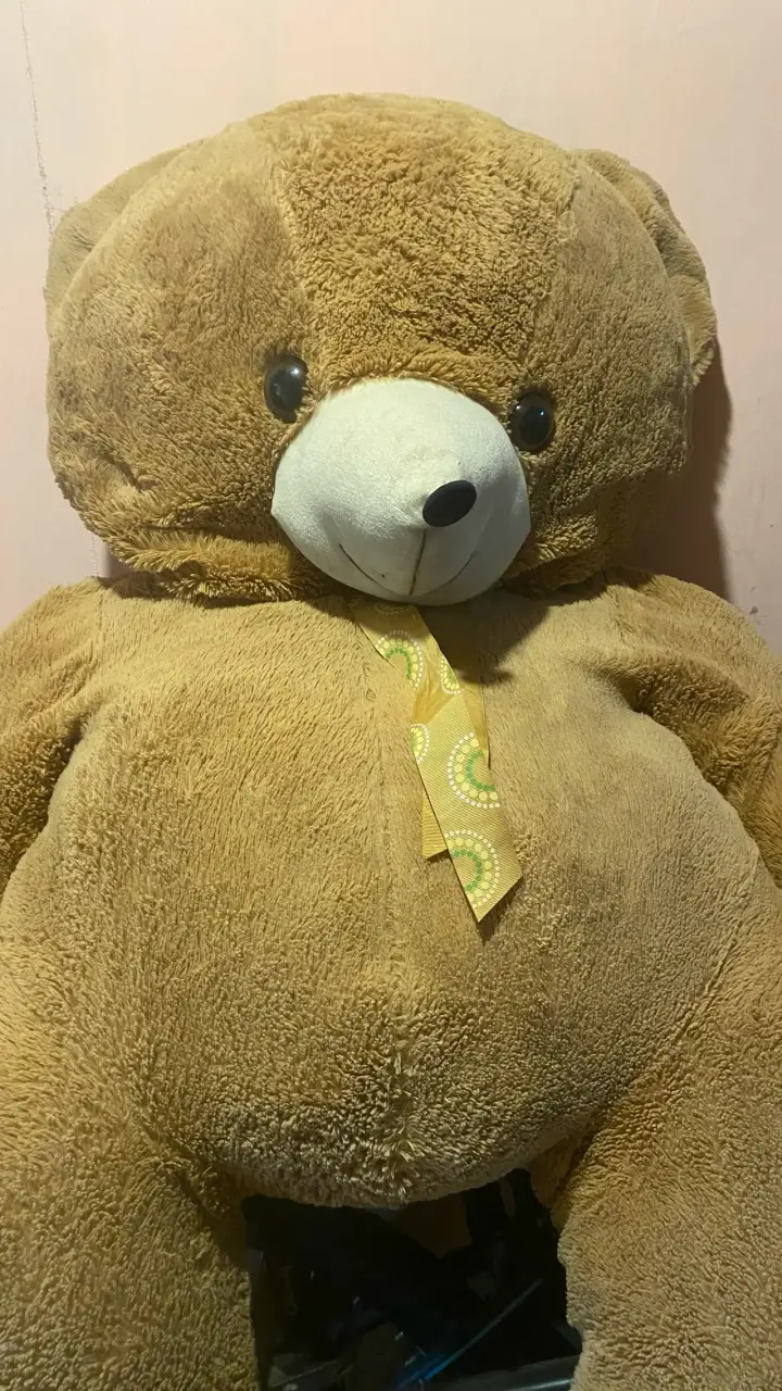 Osito de peluche gigante