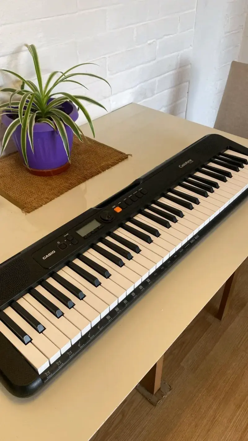 Teclado digital Casio Casiotone - 2