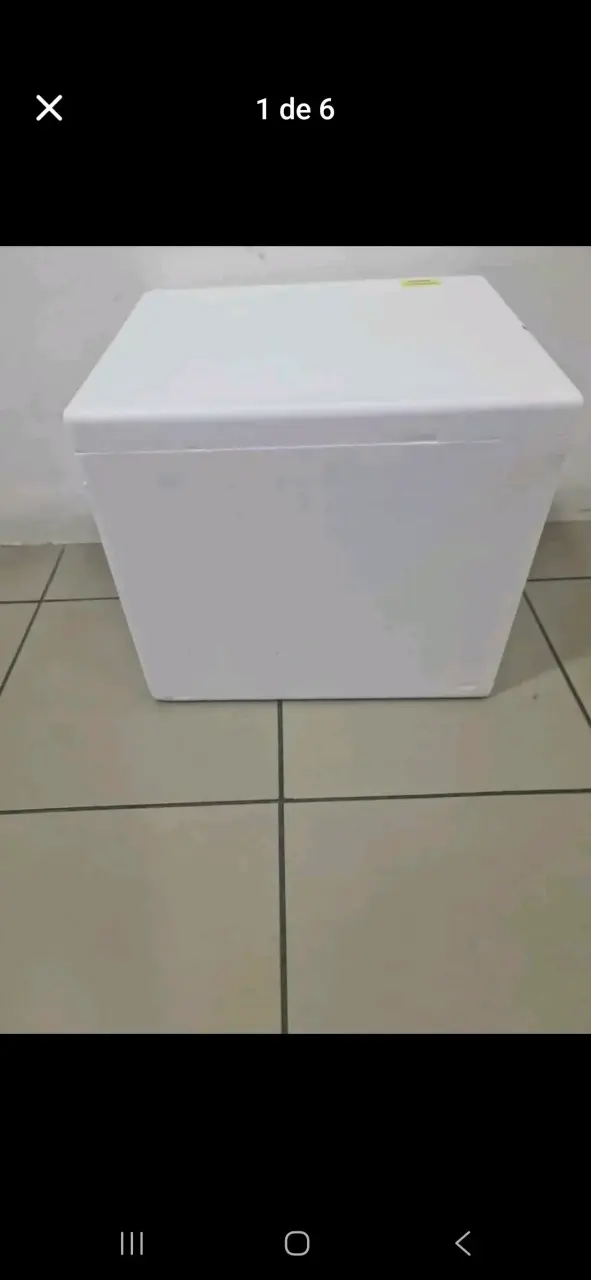 Cooler de poliestireno - 1