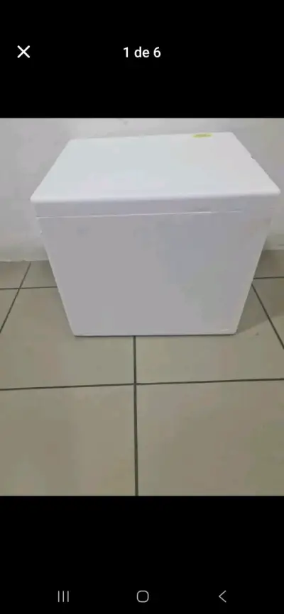 Cooler de poliestireno - miniatura 1