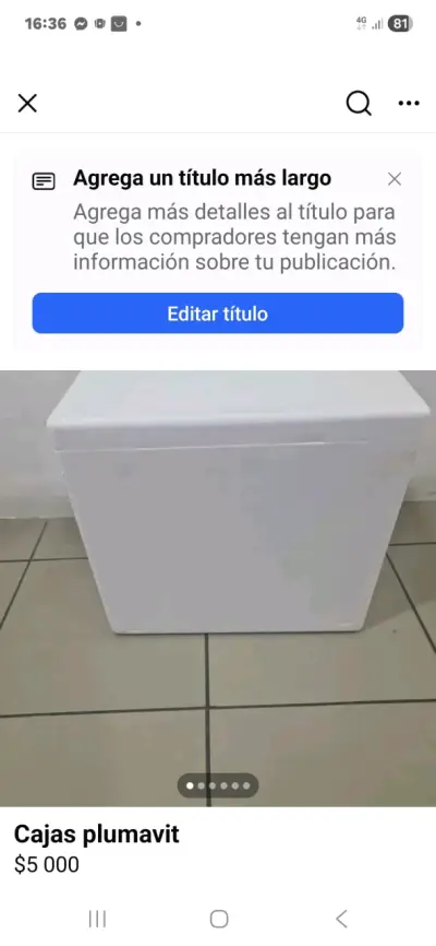 Cooler de poliestireno - miniatura 2