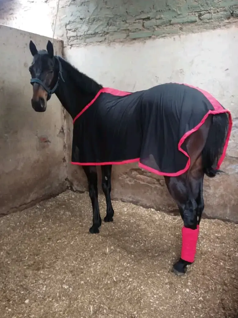Cobertor para caballo - 6