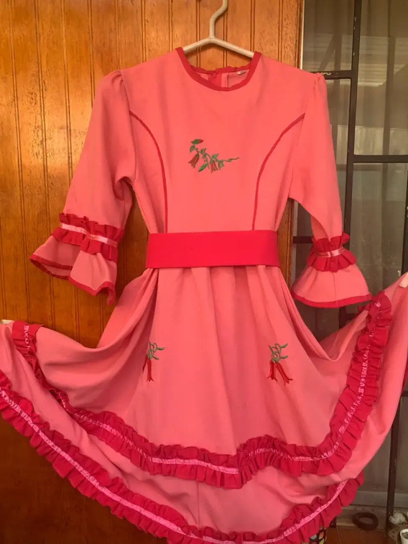 Vestido folklórico rosa bordado - 1