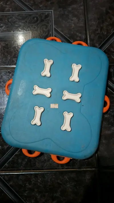 Juego de inteligencia para perros - miniatura 1