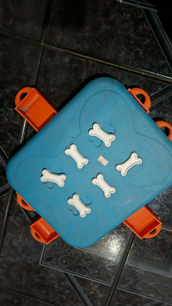 Juego de inteligencia para perros - 2