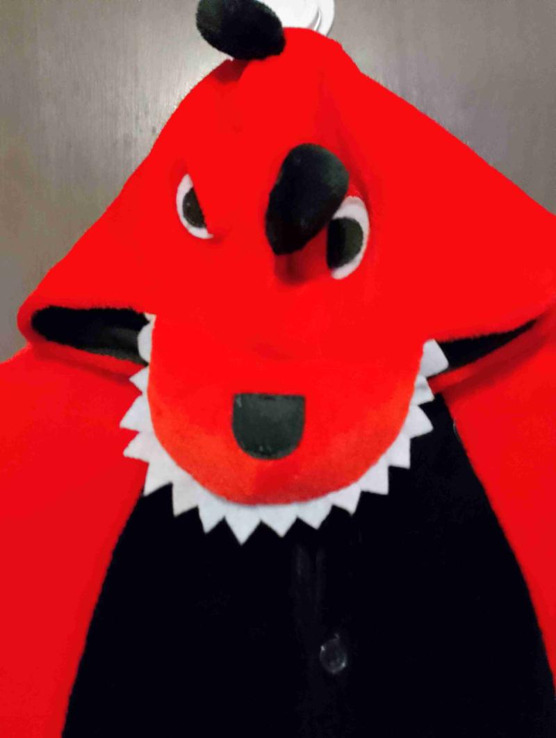 Pijamas diseño Lobo y Dinosaurio niño 5 a 8 años - 2