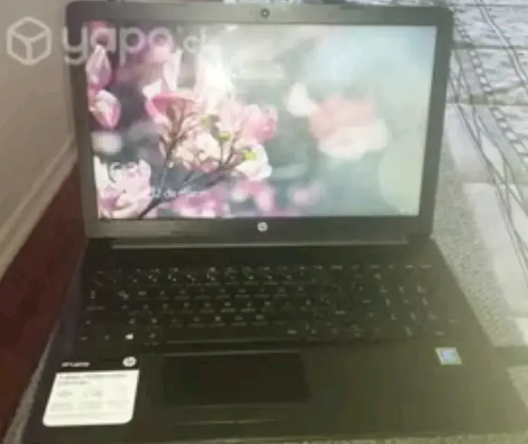 Laptop HP 15 Pentium 4GB - 2